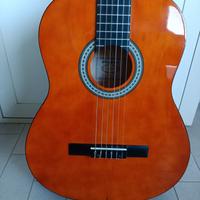 Chitarra acustica Sheffield