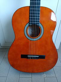 Chitarra acustica Sheffield