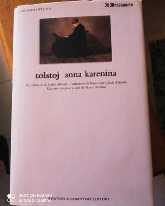 Romanzo Tolstoj Anna Karenina 