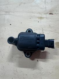 Bonina piaggio beverly 350