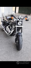 Harley Davidson xr1200