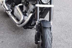Harley Davidson xr1200