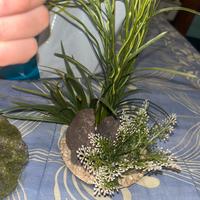 piante finte acquario