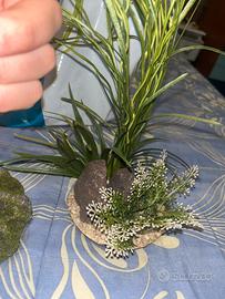 piante finte acquario