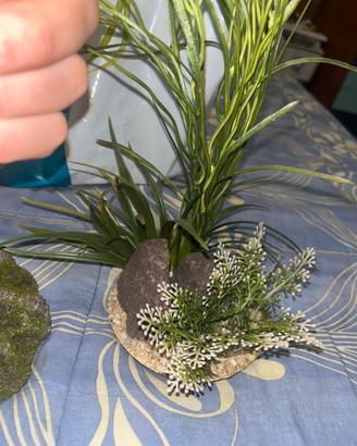 piante finte acquario