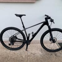 Mtb 29 lee cougan rampage air