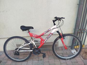 bicicletta