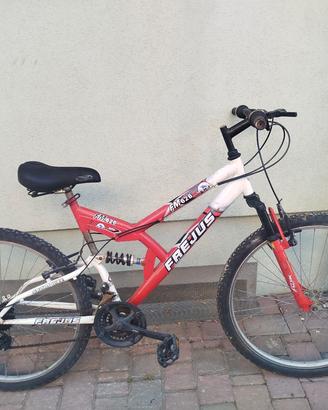 bicicletta