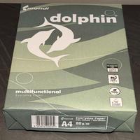 Risma da 500 Fogli Bianchi A4   80gr.