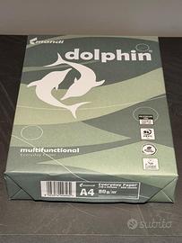 Risma da 500 Fogli Bianchi A4   80gr.