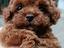 Immagine 13