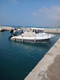 albatros22 walkraund