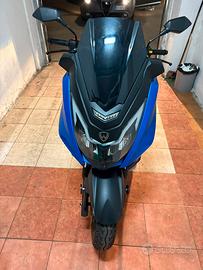 Scoter