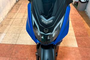 Scoter