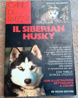 siberiana huski