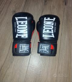 guantoni da boxe leone 