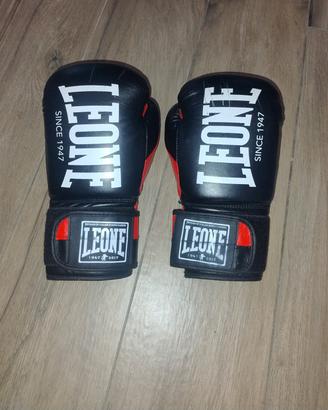 guantoni da boxe leone 