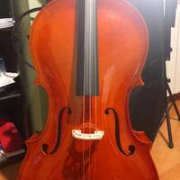 Violoncello 3/4