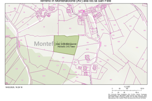 Terreni agricoli in Montefalcione (AV)