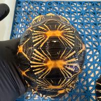 Astrochelys radiata taratruga esotica