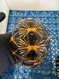 Astrochelys radiata taratruga esotica