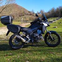 Borse semirigide moto