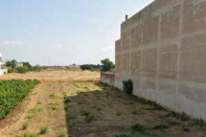 Terreno EDIFICABILE "B11"