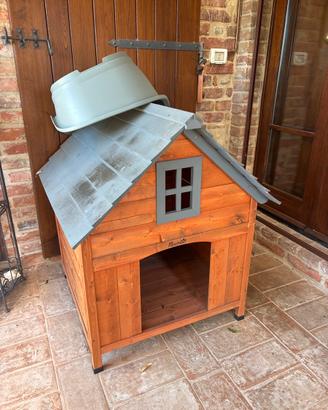 Casa per cani animali