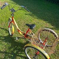 Bici 3 ruote