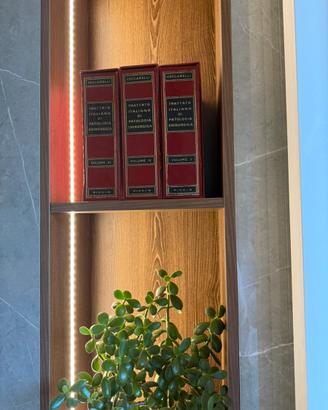 Enciclopedia Ceccarelli