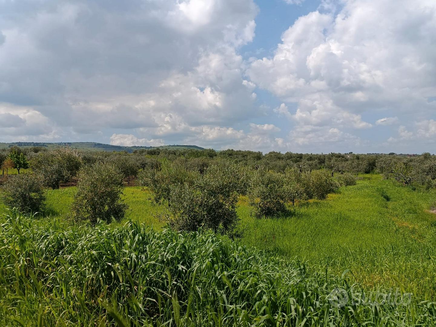 Terreni a Venosa - Vista 2