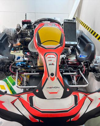 Kart CRG con motore vortex 250cc 4T