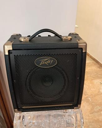 Amplificatore Peavey E20