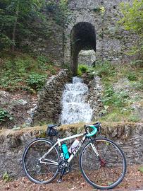 Bici Trek Lexa 47