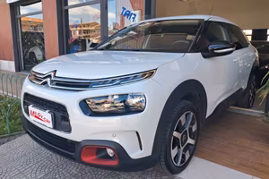 Citroen C4 Cactus BlueHDi 102 cv S Shine