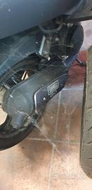 Scoter