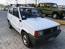 fiat-panda-1100-i-e-cat-young