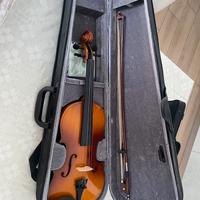 Violino