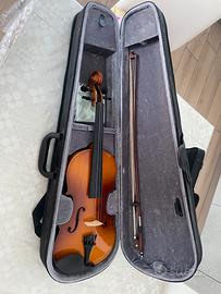 Violino