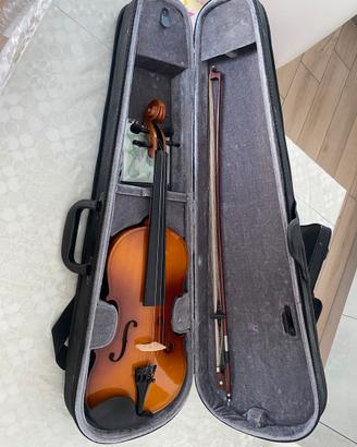 Violino