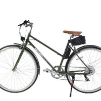 Bici elettrica