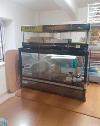 Terrario e acquario tartarughe