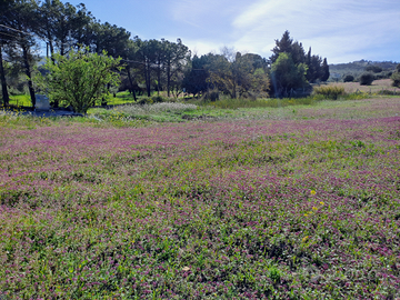 Terreno contrada Fontanelle