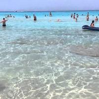 100 metri spiaggia e movida gallipoli