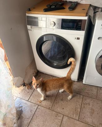 Lavatrice lavasciuga aeg 9 kg pompa di calore A+++