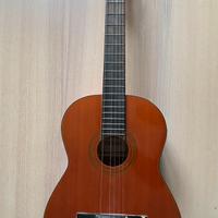 Chitarra acustica Tamaki