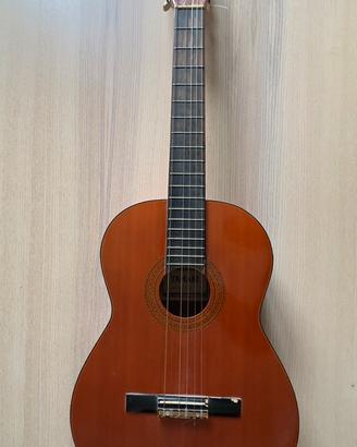 Chitarra acustica Tamaki