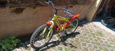 Bicicletta Maver Race Crew 20 pollici
