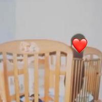 Articoli per infanzia