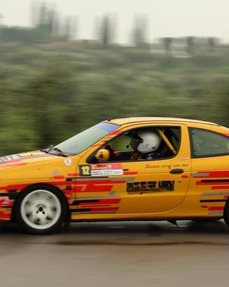Megane Rally